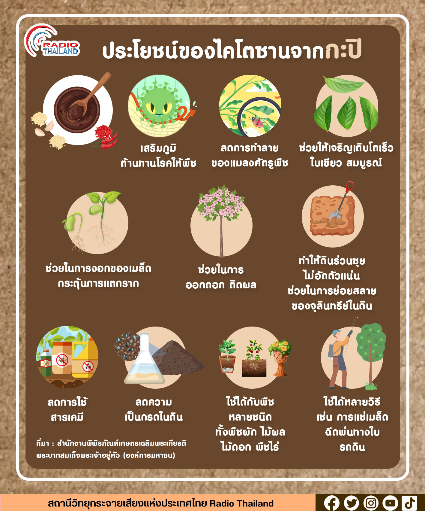 ประโยชน์ของไคโตซานจากกะปิ