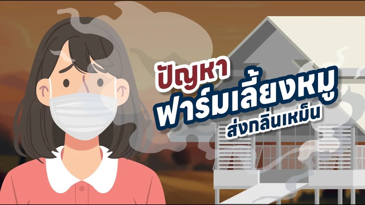 ▶️ผู้ตรวจการแผ่นดินแก้ปัญหาฟาร์มสุกร : ลดกลิ่นเหม็น สร้างคุณภาพชีวิตที่ดีขึ้น