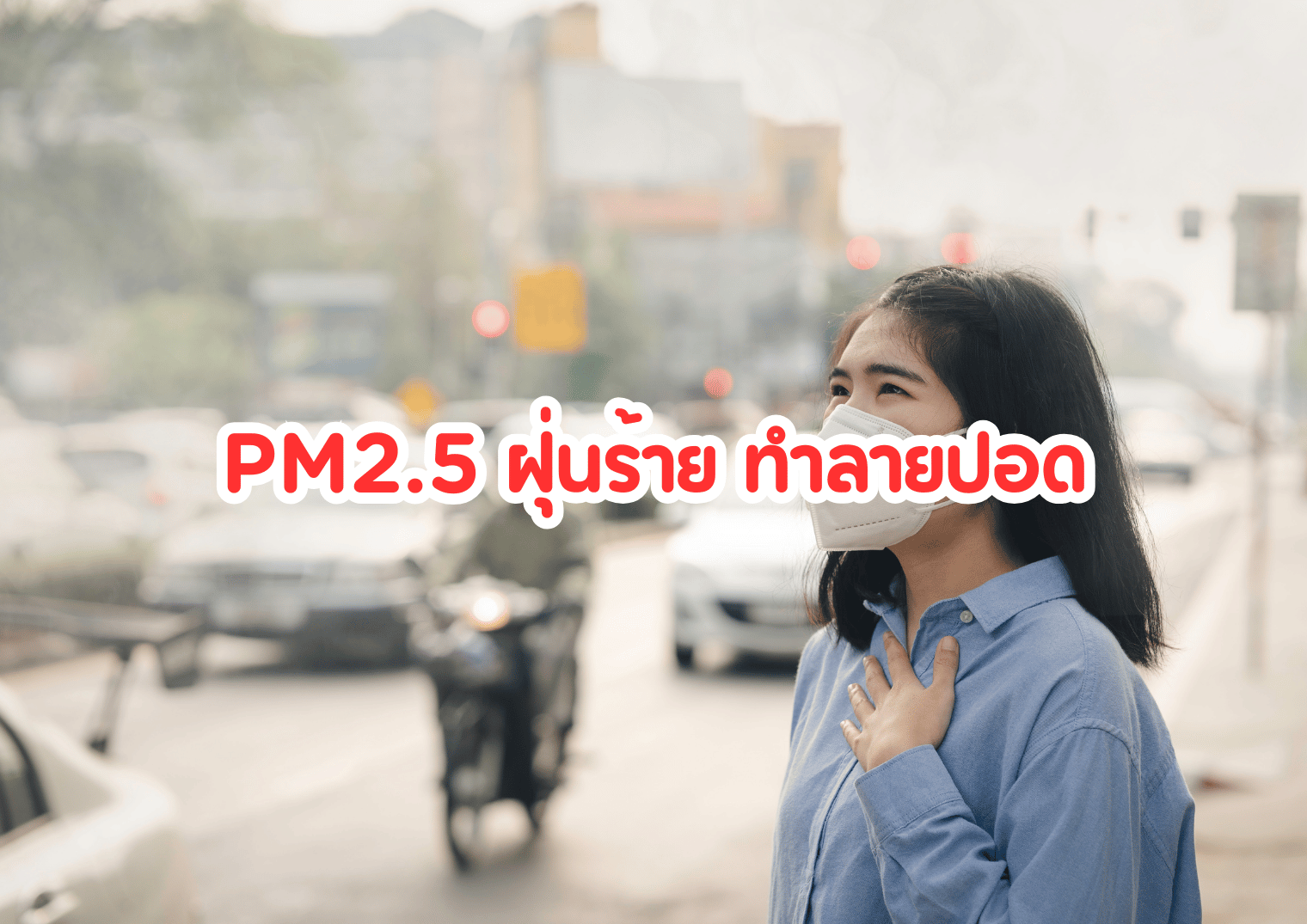 PM 2.5 ฝุ่นร้าย ทำลายปอด