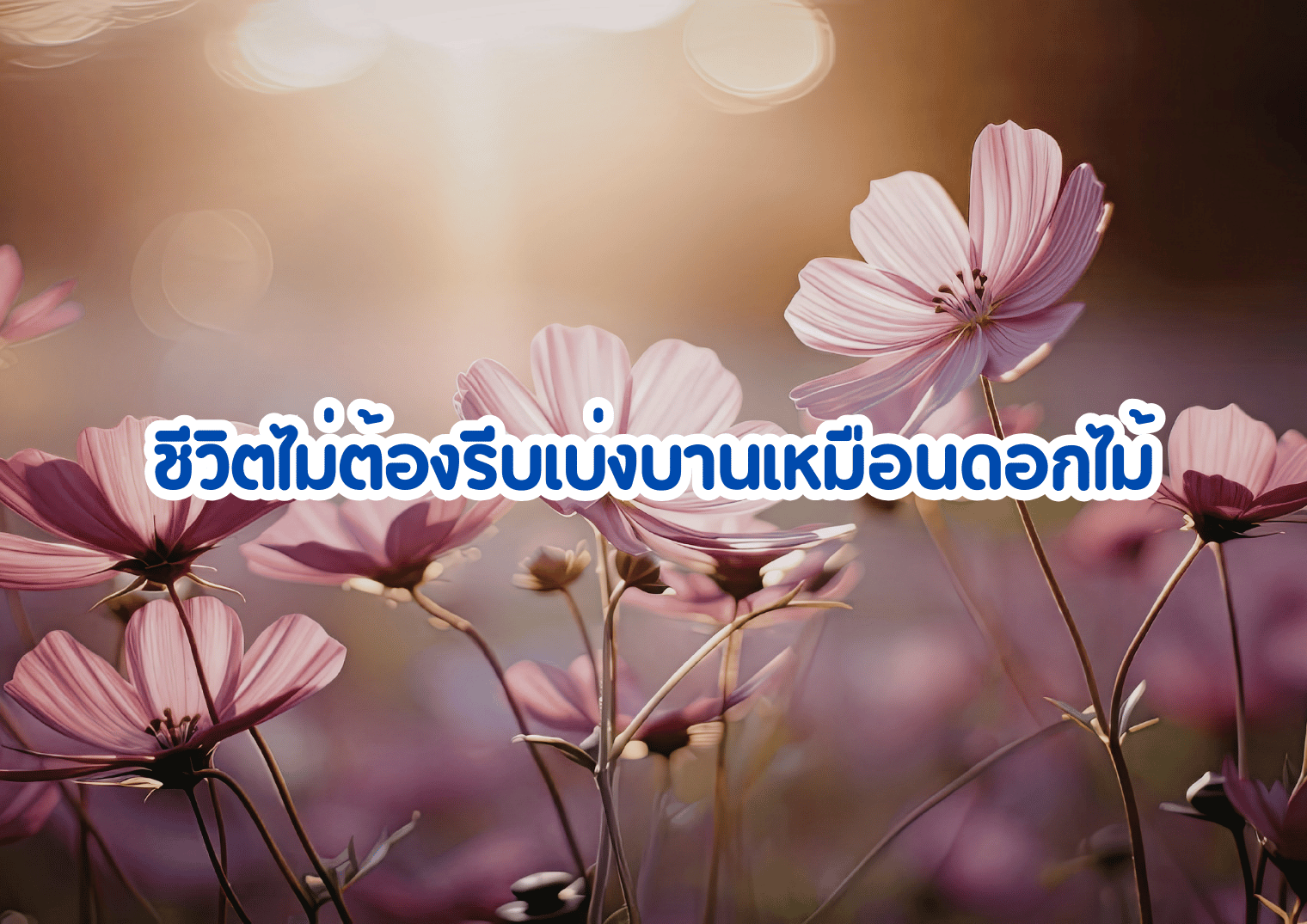 ชีวิตไม่ต้องรีบเบ่งบานเหมือนดอกไม้