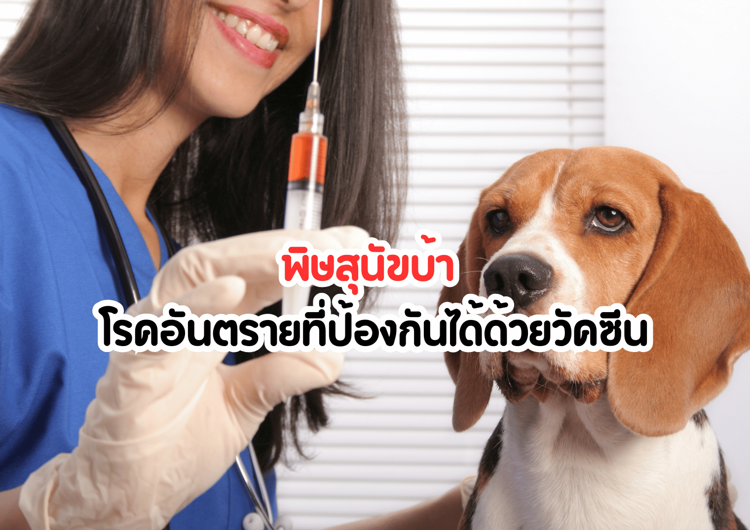 พิษสุนัขบ้า โรคอันตรายที่ป้องกันได้ด้วยวัคซีน