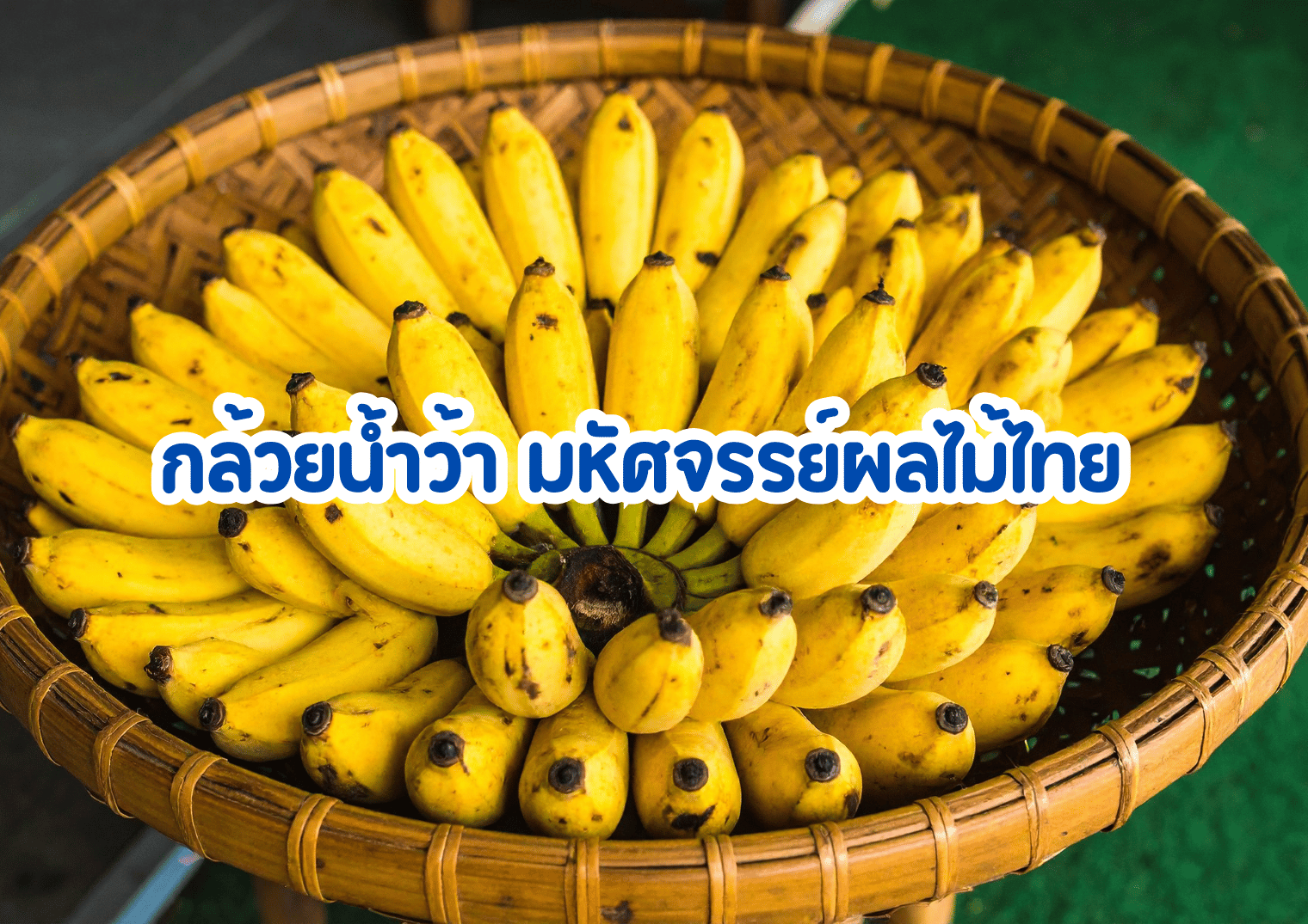 กล้วยน้ำว้า มหัศจรรย์ผลไม้ไทย